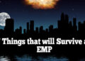 Things that will Survive an EMP