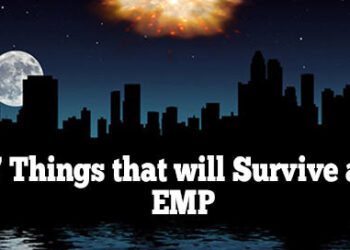 Things that will Survive an EMP