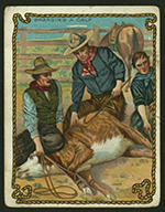 cowboy survival 12