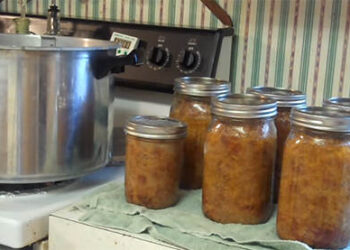 How To Preserve Beef in Glass Jars