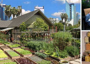 Urban Self-Reliance and Freedom