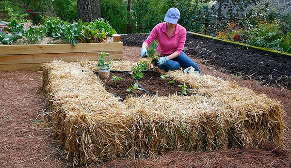 bale-garden