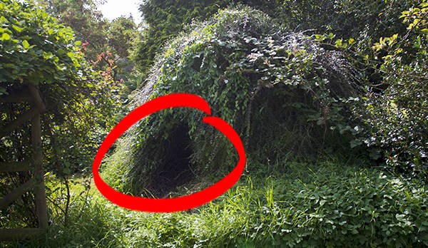 Bush Shelter