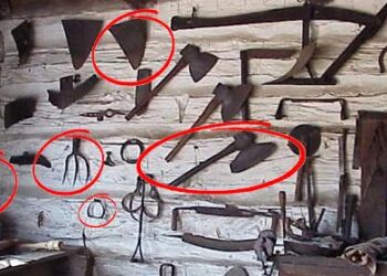 Basic Pioneer Tools You Need to Survive