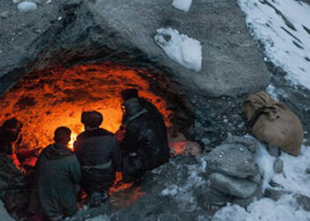 Finding Shelter in the wild