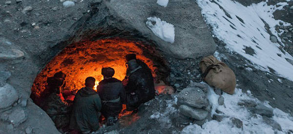 Finding Shelter in the wild