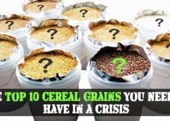 The Top 10 Cereal Grains You Need To Have in a Crisis