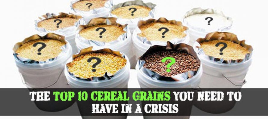 Grains-General Info The-Top-10-Cereal-Grains-You-Need-To-Have-in-a-Crisis.FIRSTjpg-890x395_c