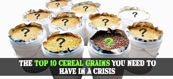 The Top 10 Cereal Grains You Need To Have in a Crisis