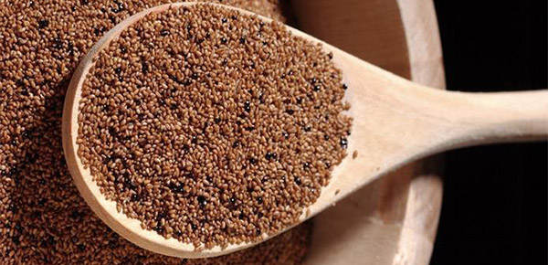 prepper grains