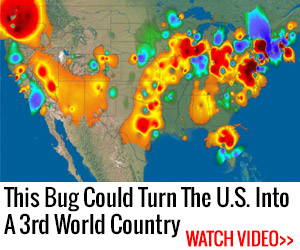 The bug that could turn the US into a third world country