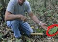 Making Natural Aspirin After the SHTF 2