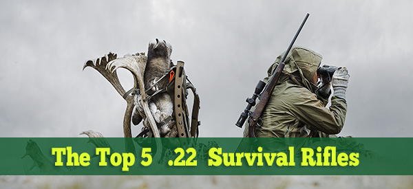 The Top 5 .22 Survival Rifles