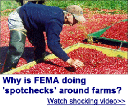 fema spot