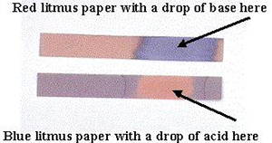 Litmus Paper