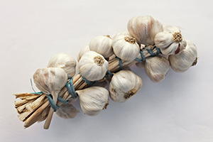 Garlic-survival food