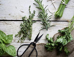 herbs-survival food