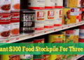 A brilliant $300 Food Stockpile For Three Months