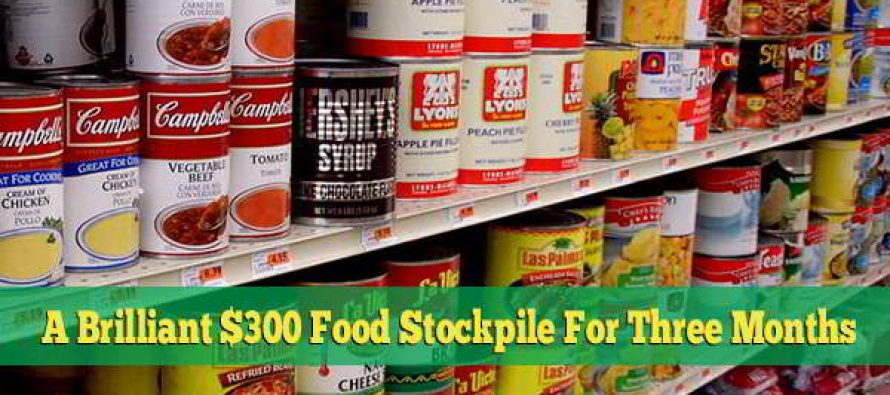 best food to stockpile best food to stockpile