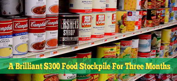 A brilliant $300 Food Stockpile For Three Months