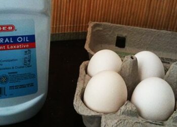 Preserving eggs