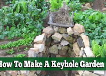 keyhole_gardens_diy