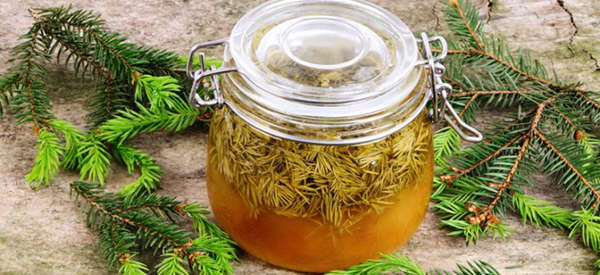 pine syrup