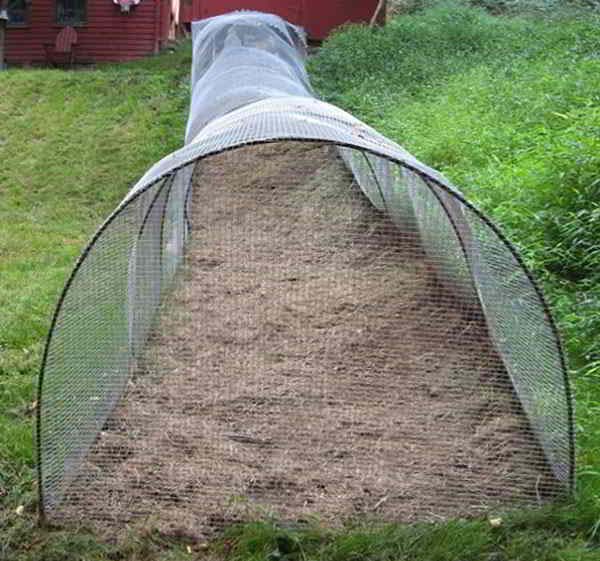 Chicken Tunnel Without Chickens