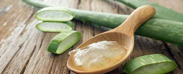 aloe-vera-gel-on-wooden-spoon-1