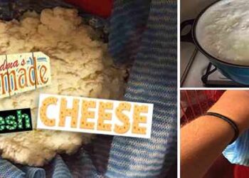 homemade fresh chesse7
