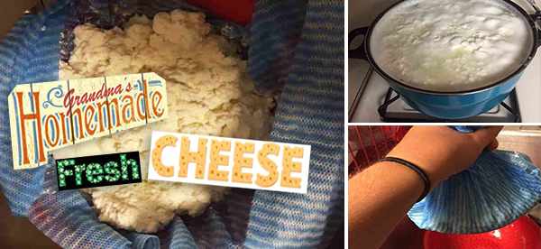 homemade fresh chesse7