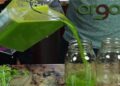 organifi juice1