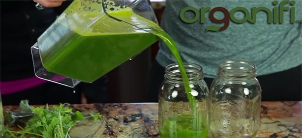 organifi juice1