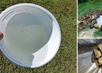 diy-water-purrification-sysytem