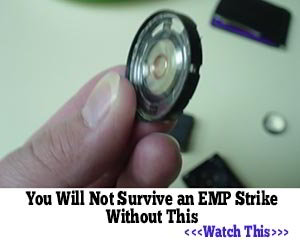 emp stike