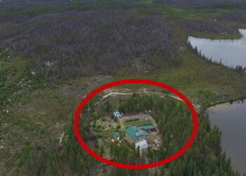 aerial-view-of-the-homestead