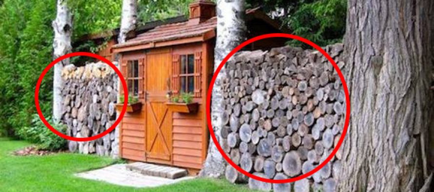 How To Store And Stack Firewood The Right Way Ask A Prepper