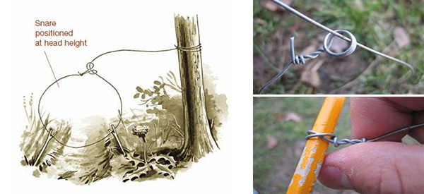 DIY ground snare