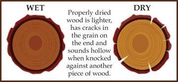 wood-types