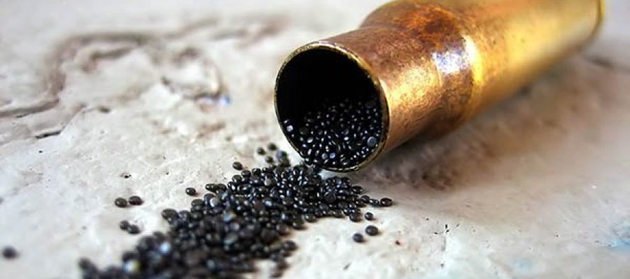 How to Make Gun Powder & Bullets How-To-Make-Gun-Powder-The-Old-Fashioned-Way-DIY-Guide-With-Pictures-890x395_c