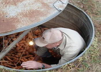 how-to-make-a-mini-root-cellar-in-your-backyard-with-10-in-one-hour
