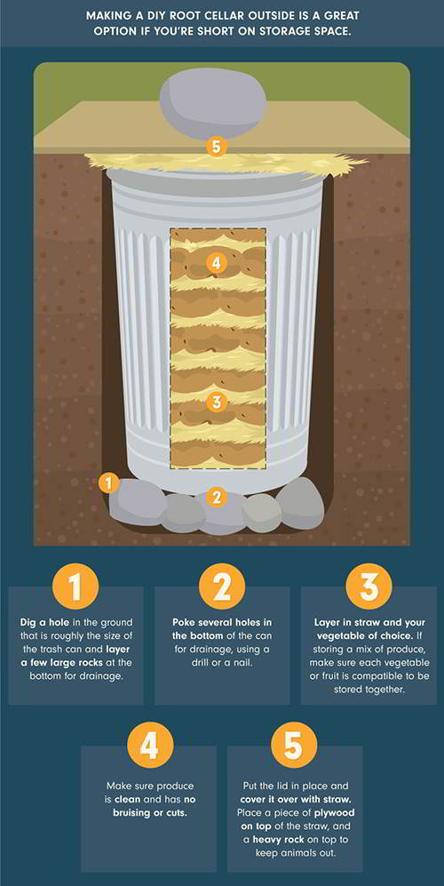 diy-mini-root-cellar-infografic