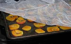 drying peaches
