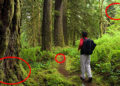 reading nature signs
