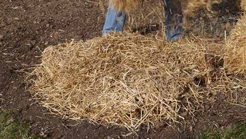 storage clamp hay
