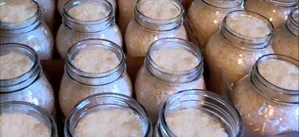 How To Make Potato Flakes With 5 Years Shelf Life (without refrigeration)2
