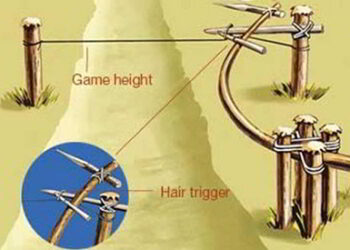 Six Primitive Traps For Catching Food In The Woods