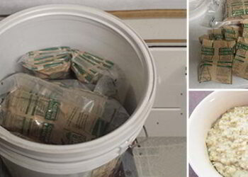 Cracking Open a Ten-Year-Old Bucket of Food Oatmeal