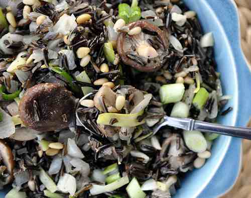 wild rice cattail pilaf