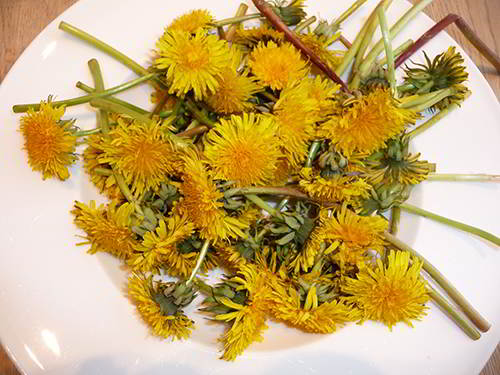 How to Make Dandelion Bread